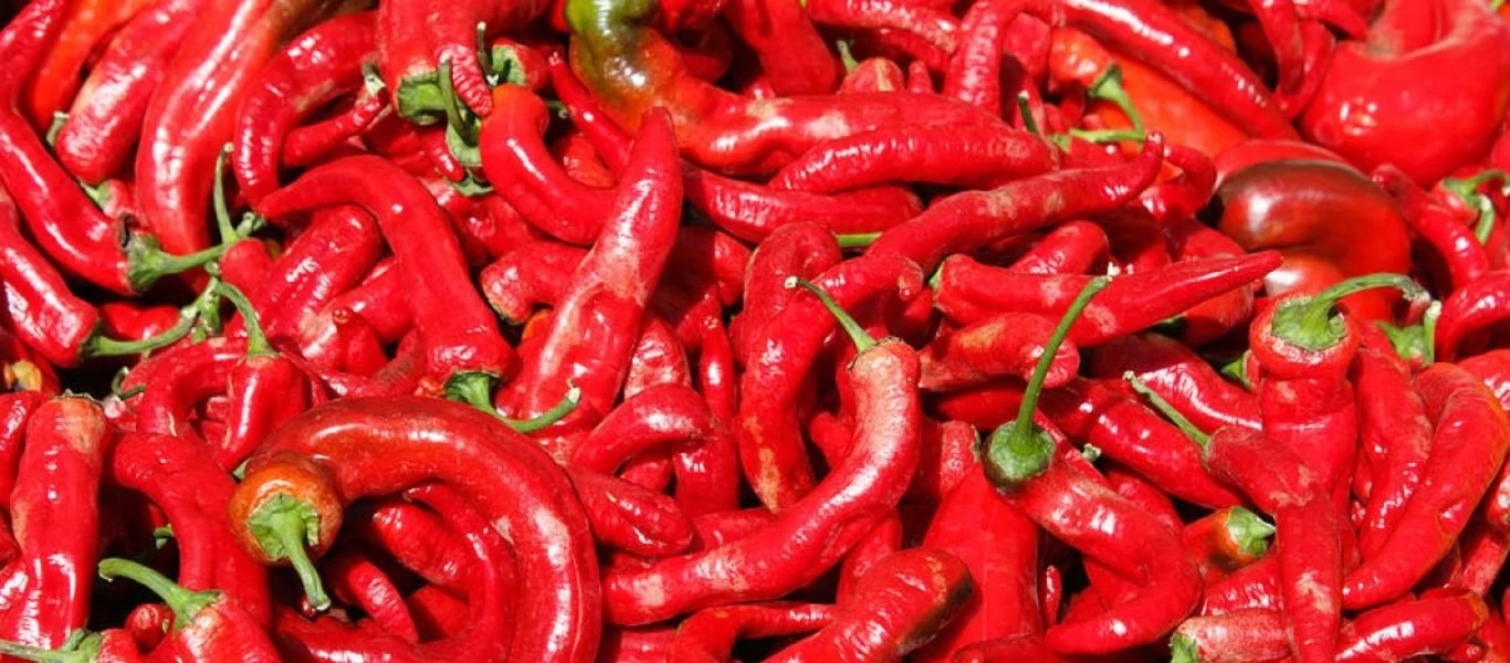 Αυτός είναι ο λόγος που τα καυτερά φαγητά κάνουν την μύτη σας να «τρέχει»